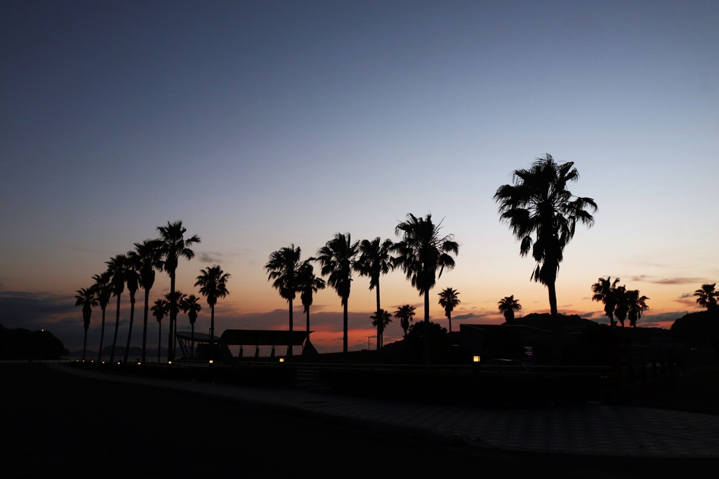 フェニックスのシルエット