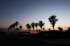 フェニックスのシルエット