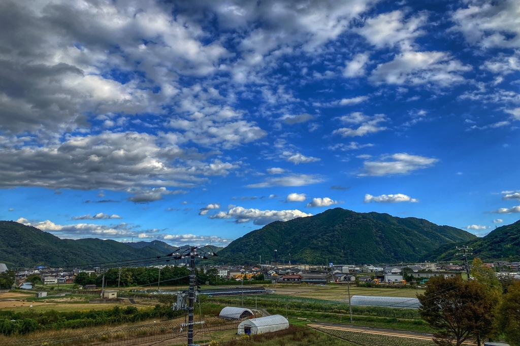 電信柱と秋の雲