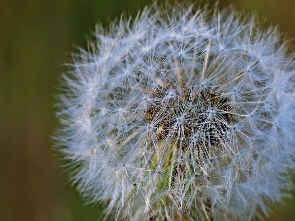 帰宅前の寄り道.3