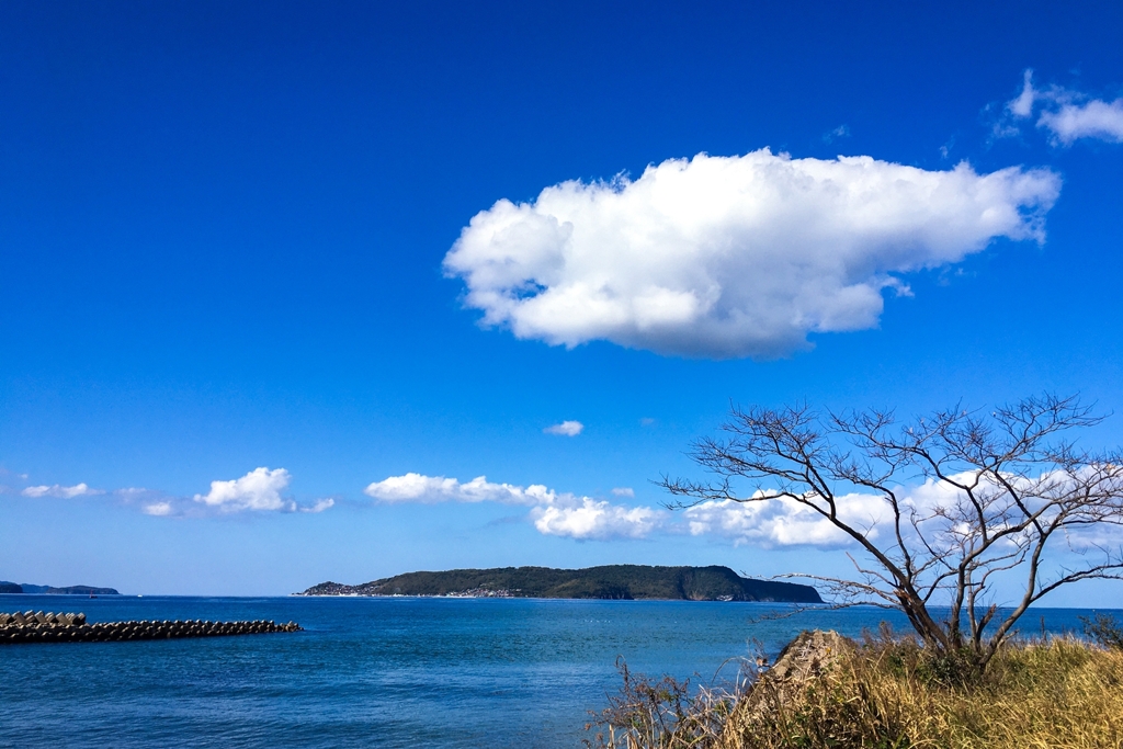 裸樹のある風景