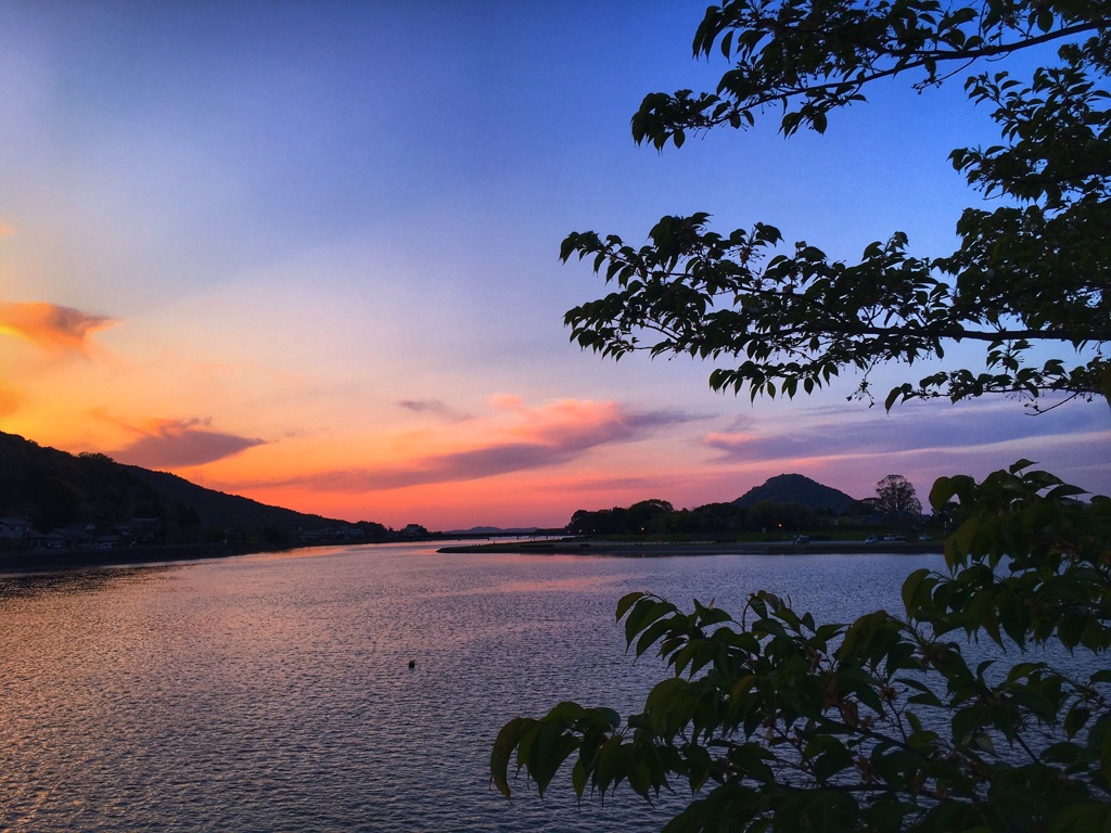 Evening view of near the estuary