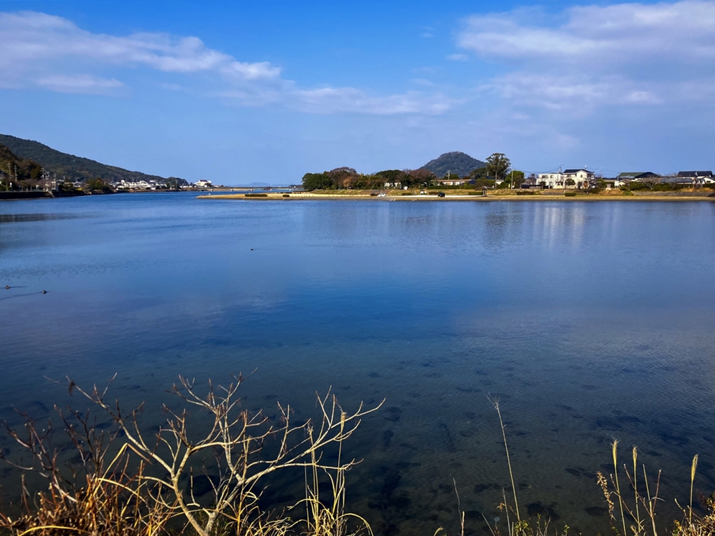 河口付近（汽水域）