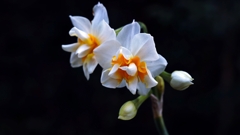 撮り納め・・・カナ。