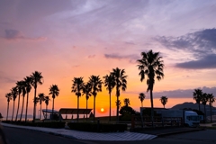 フェニックスのシルエット