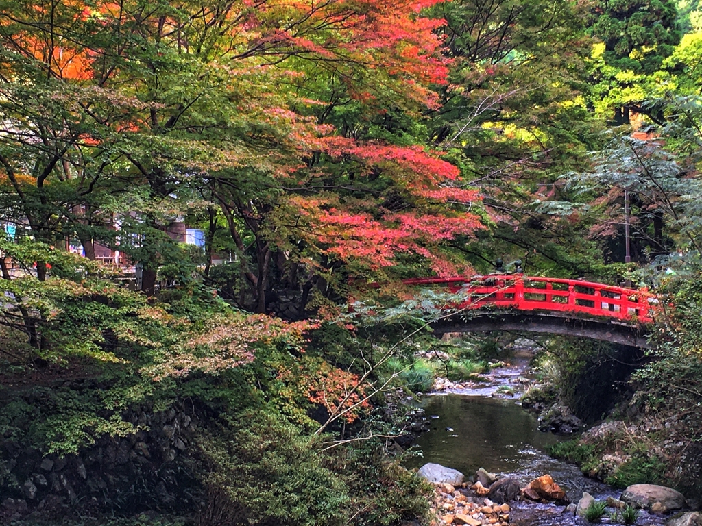 山中の温泉街らしい画