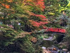 山中の温泉街らしい画