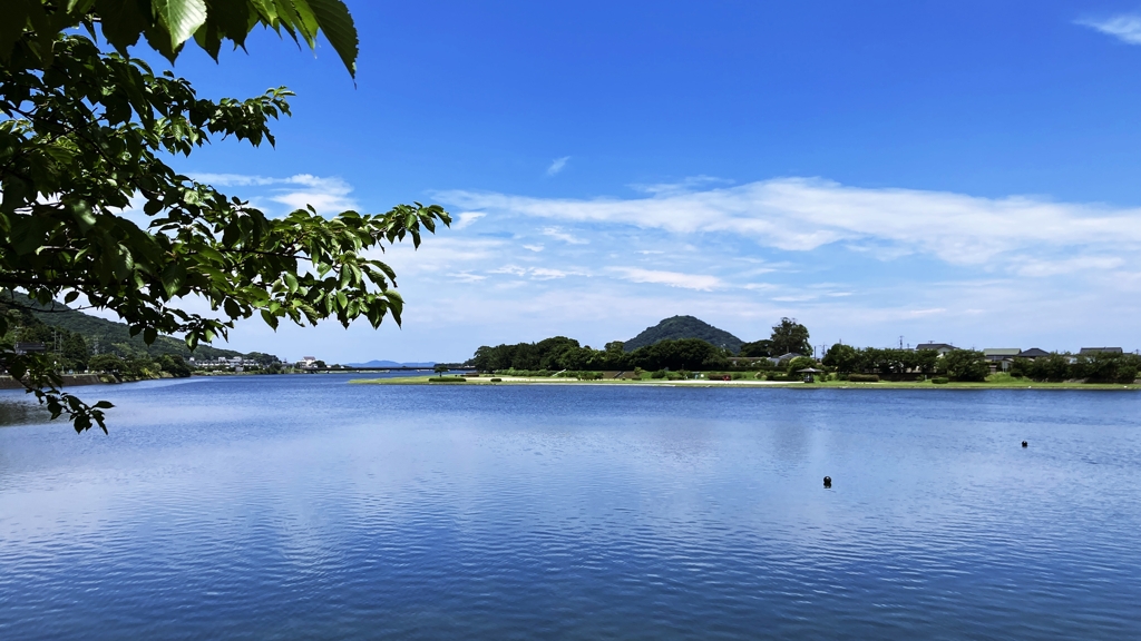 河口付近の昼時