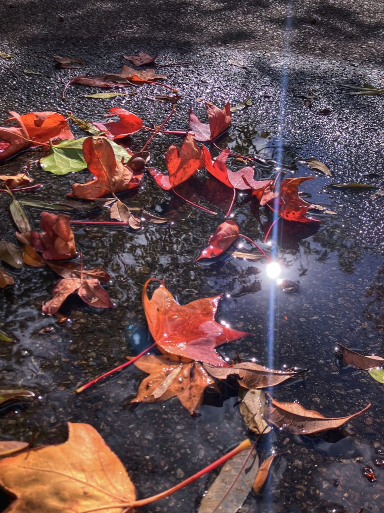 水溜りAnother version