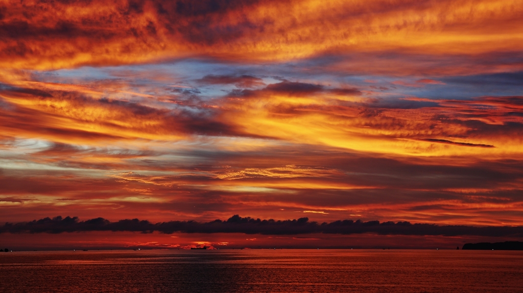 今日はよく焼けました.1