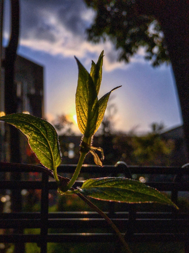 出勤前の寄り道.4