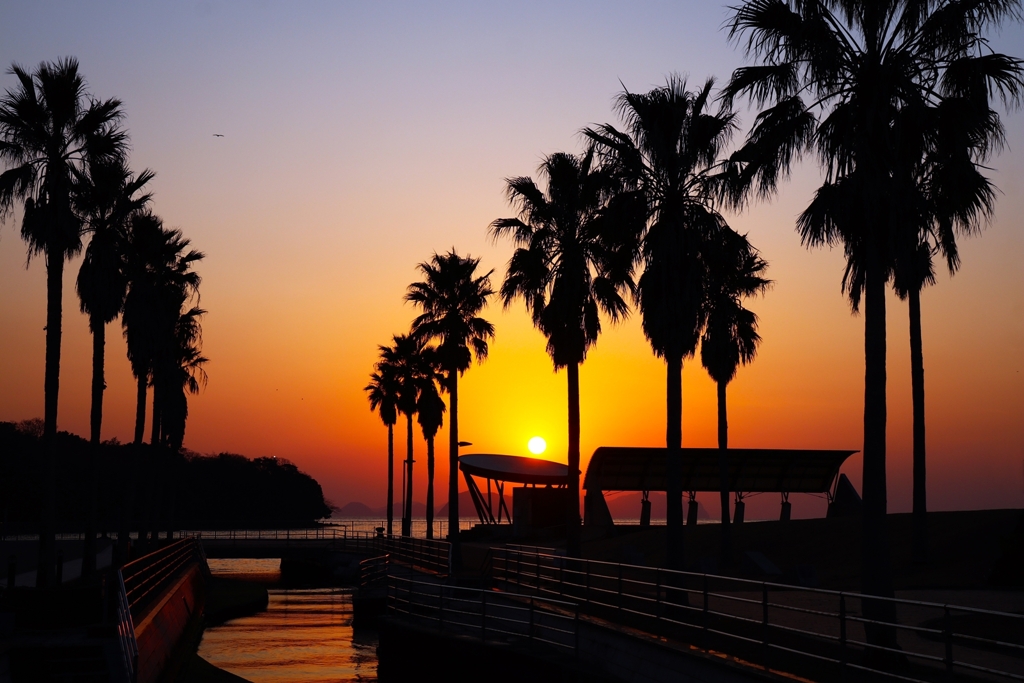 帰宅前の寄り道ver.3