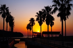 帰宅前の寄り道ver.3