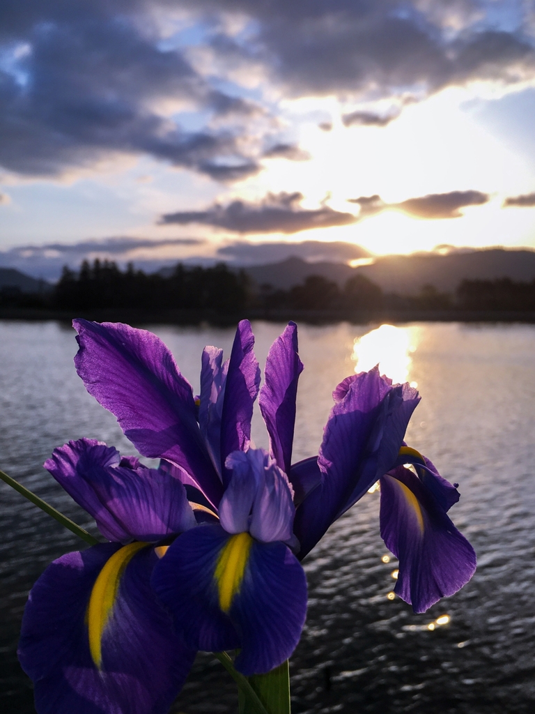 出勤前の寄り道.2