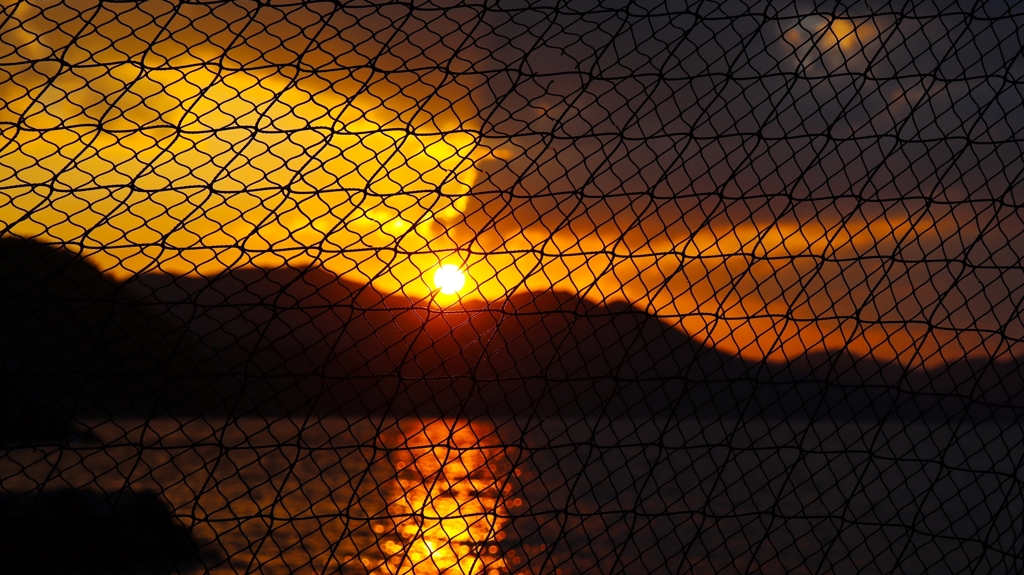 網越しの夕陽