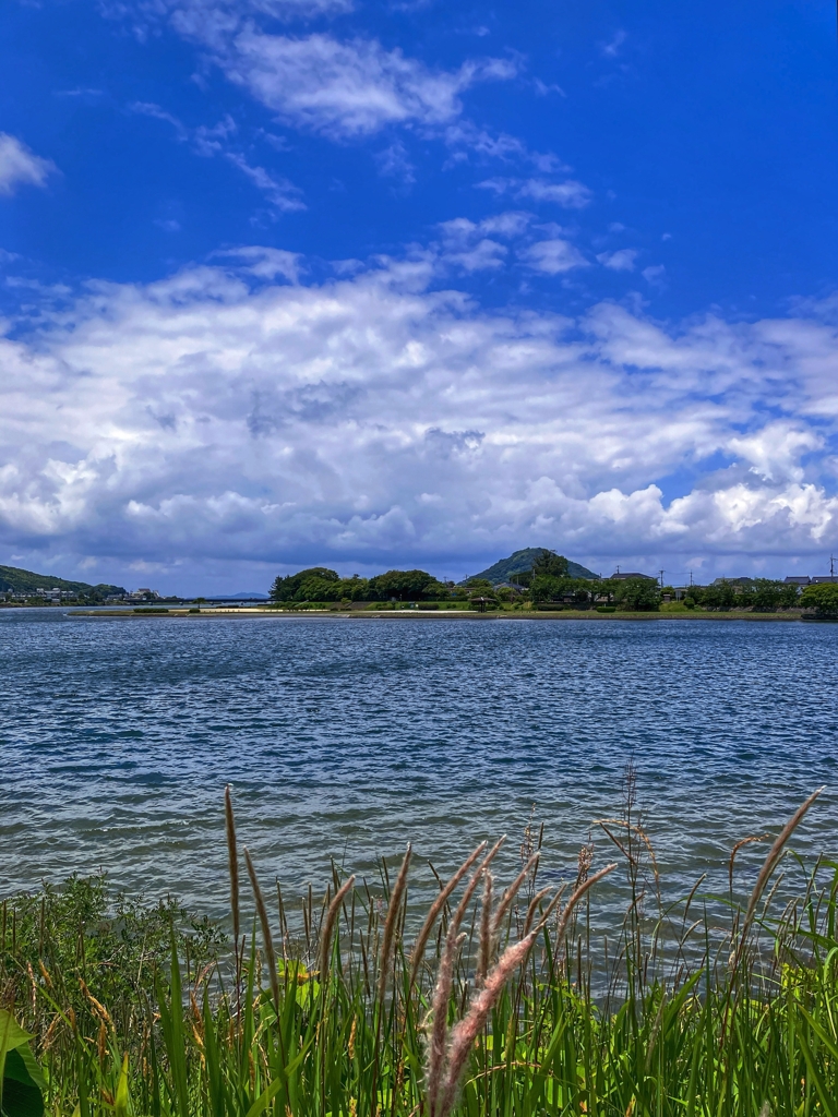 今朝の河口付近