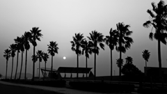 Monochrome.1/2
