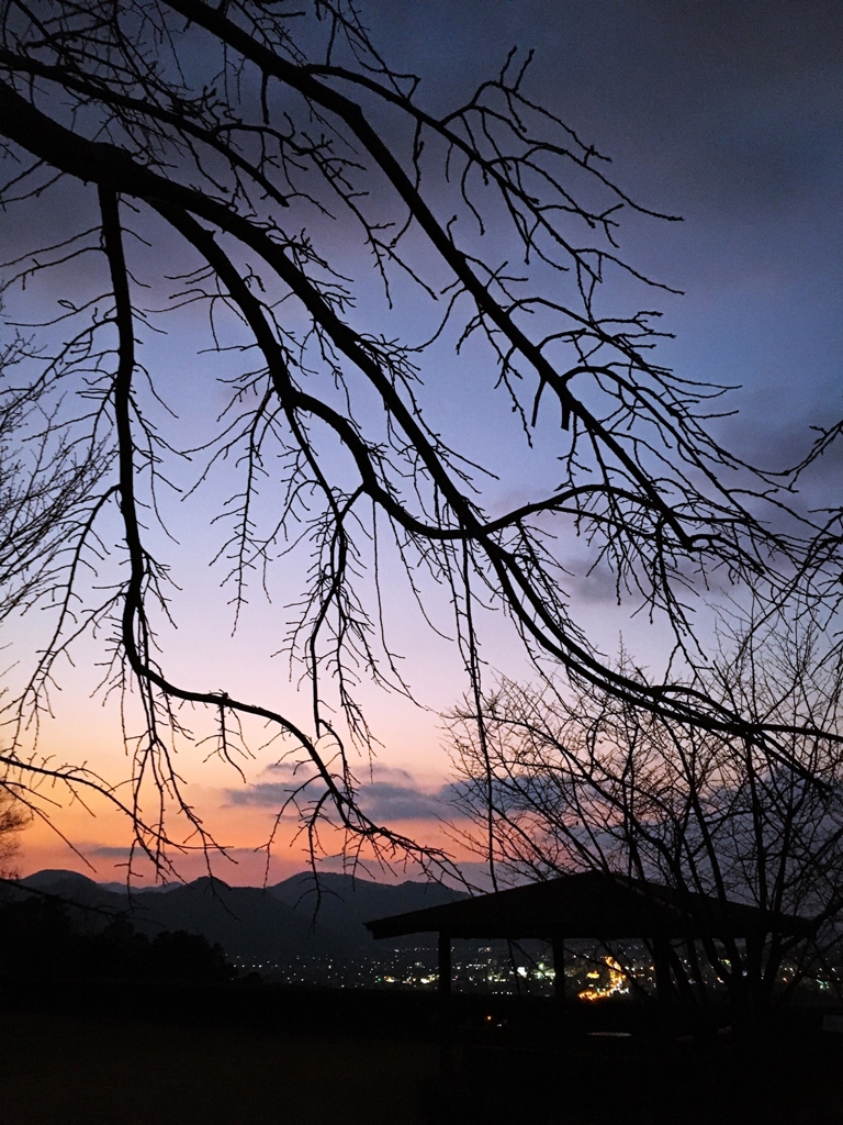 東屋のある夕景