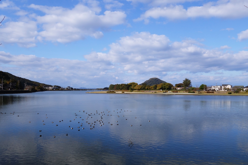 河口付近の午後