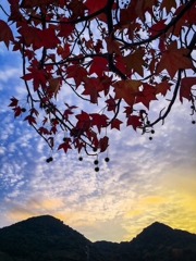 空が綺麗だったので。