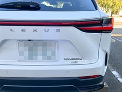 LEXUS NX450h+
