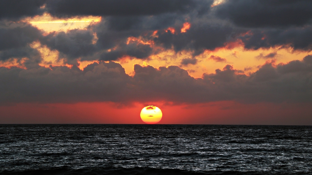 帰宅前の寄り道.5