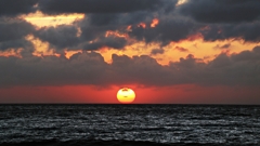 帰宅前の寄り道.5