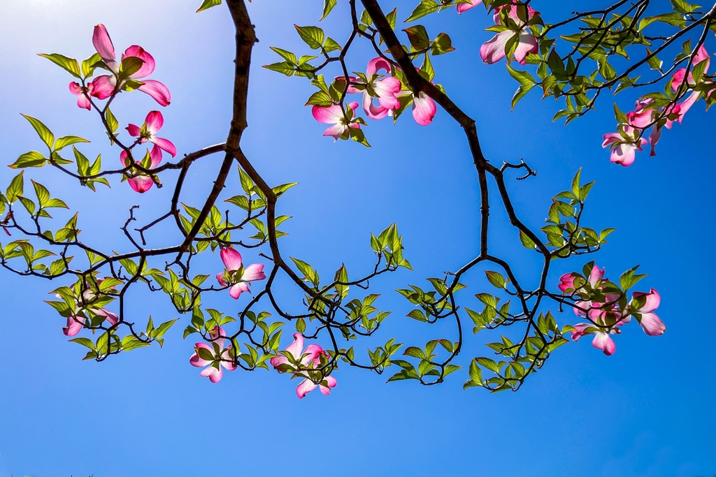 ゆく季節を惜しんで.3