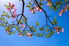 ゆく季節を惜しんで.3