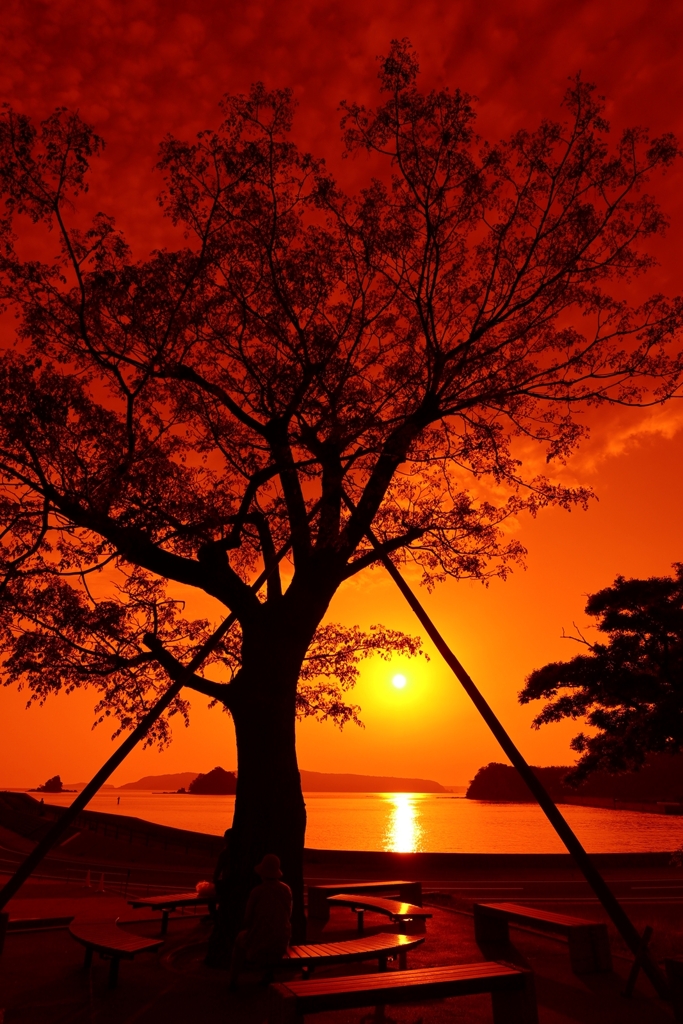 オレンジ色の夕景