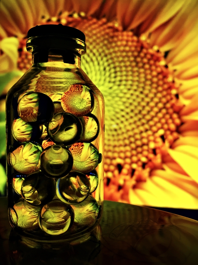 夏の瓶詰め