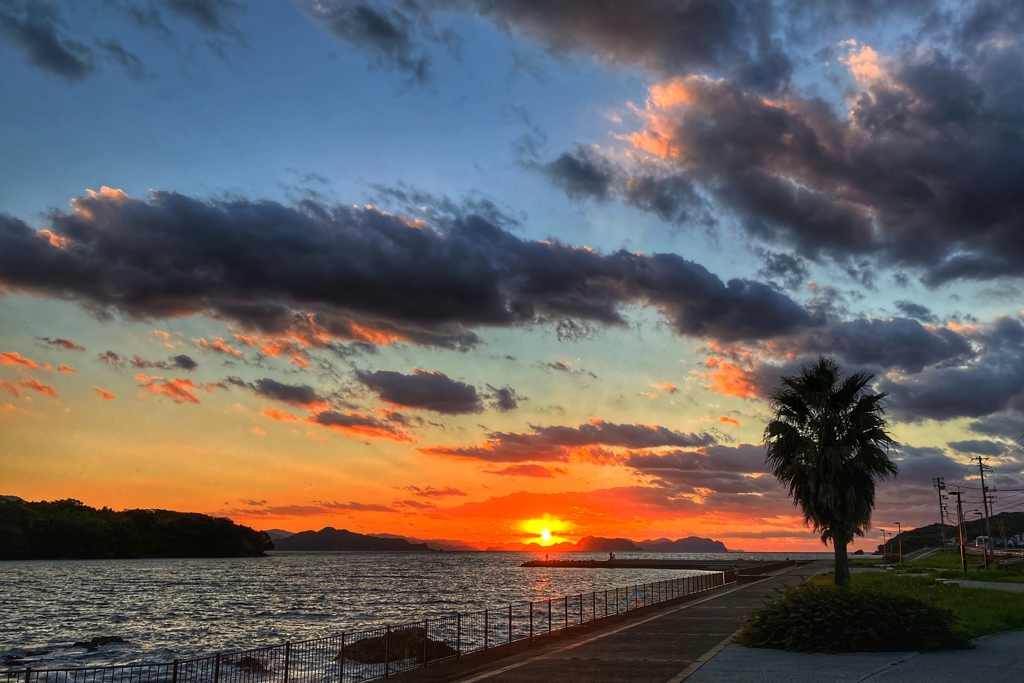 遊歩道からの眺め