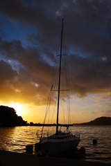 休日なのに仕事帰りです