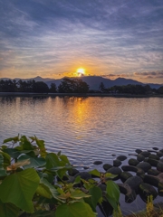 今朝の河口付近