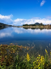 河口付近の景色