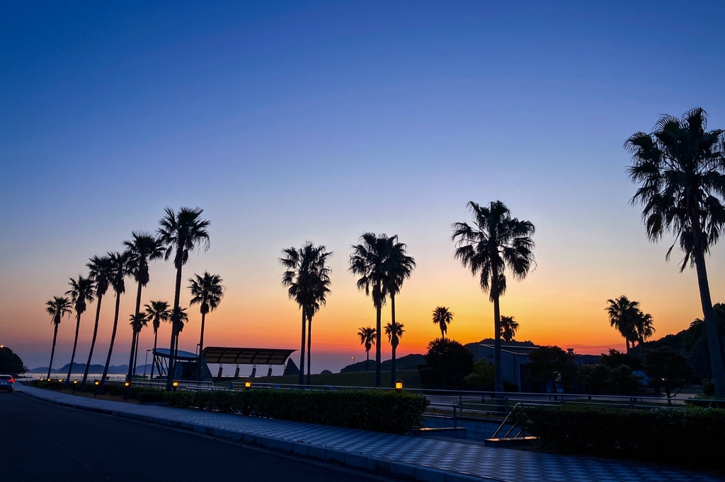 帰宅前の寄り道.2