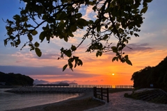 防波堤に続く遊歩道