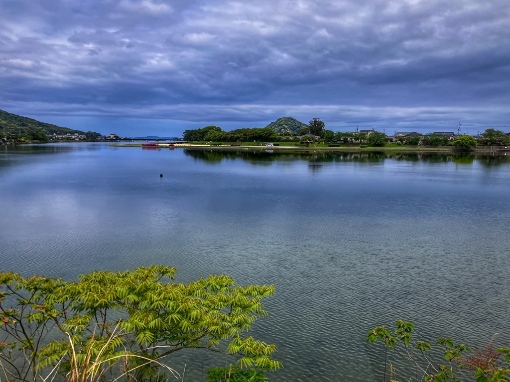 今日の河口付近
