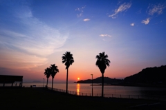 Today's evening scenery