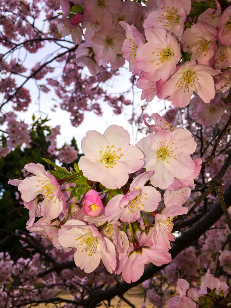 出勤前の寄り道