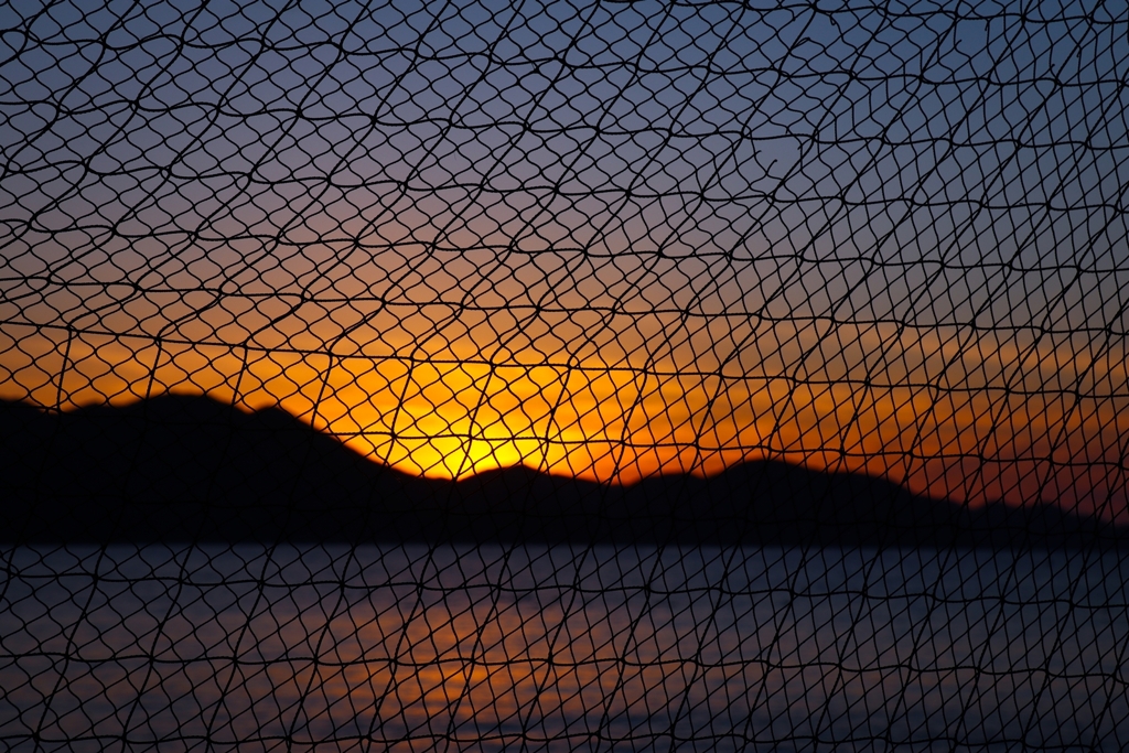 網越しの夕景