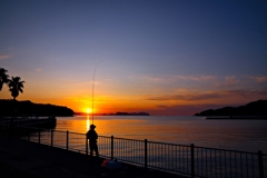 土曜日の楽しみ
