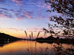 今日の帰宅前.1