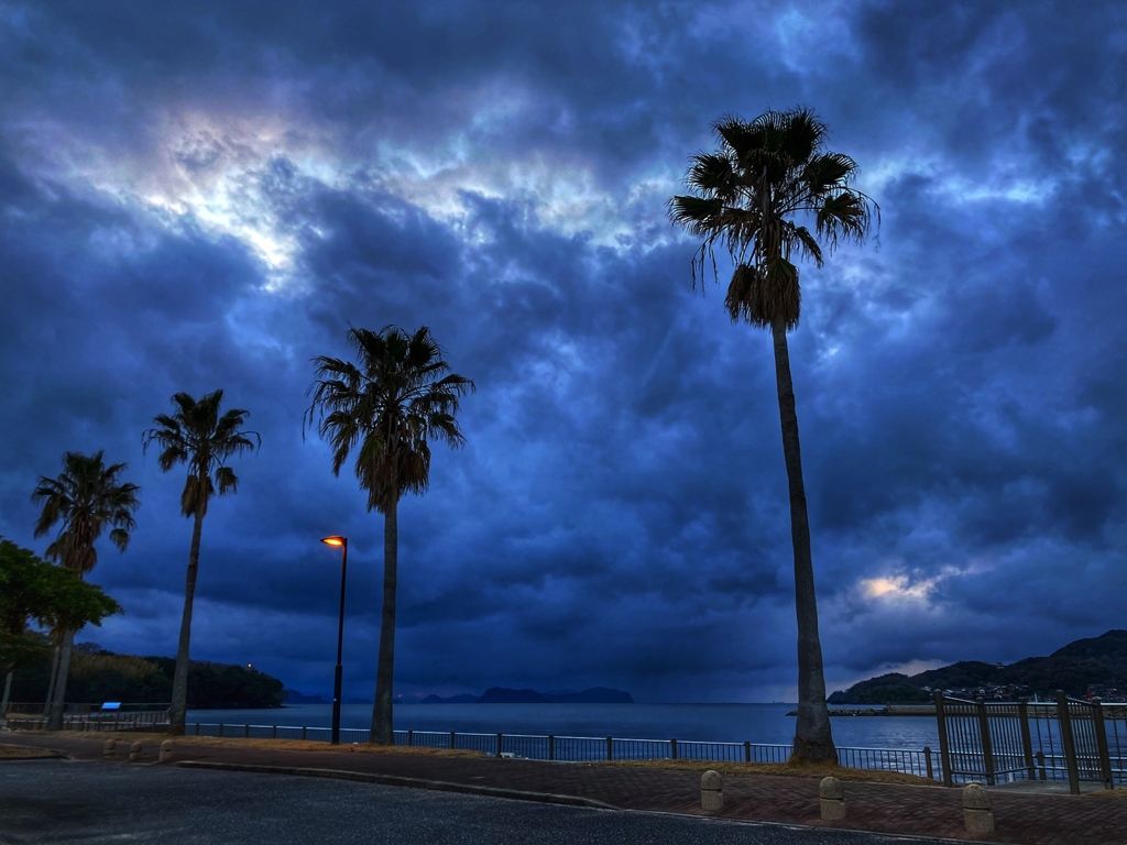 Alone at Valentine’s Day