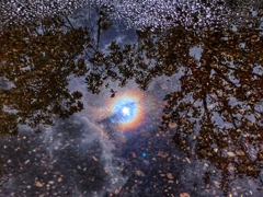 水溜りの中の宇宙