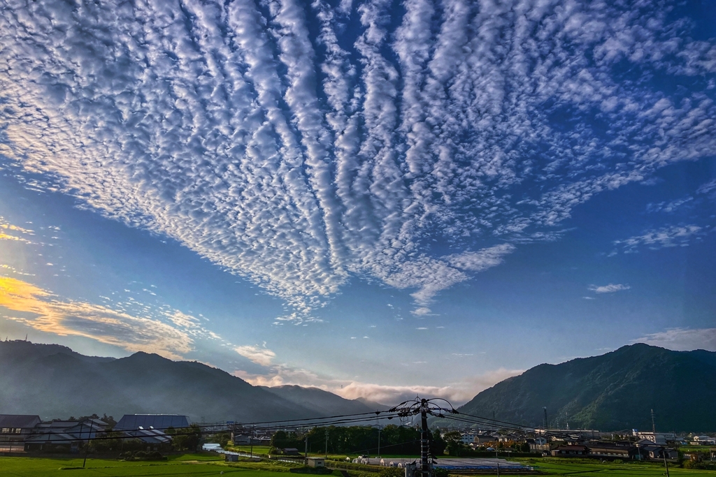 田舎の朝