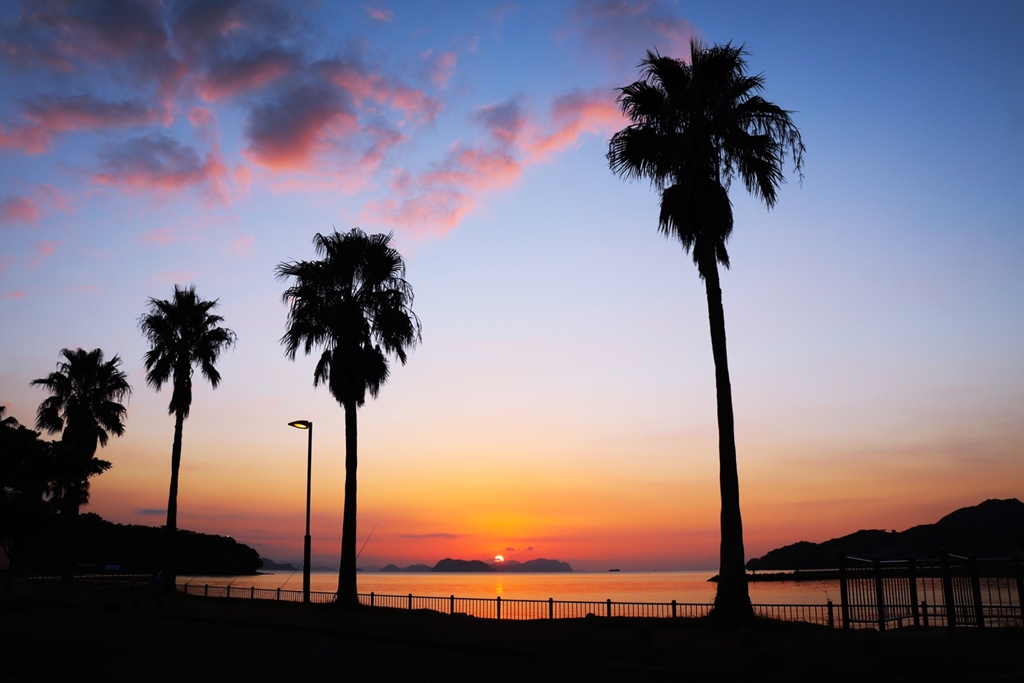 フェニックスのある夕景