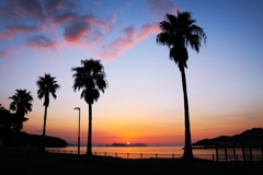 フェニックスのある夕景