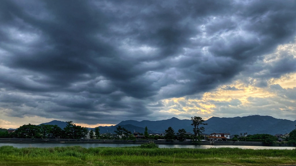 梅雨時期の朝の風景
