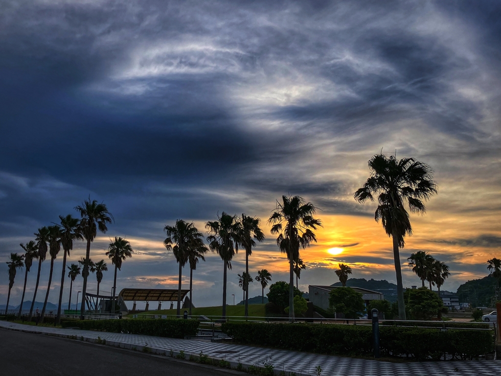 フェニックスと夕陽